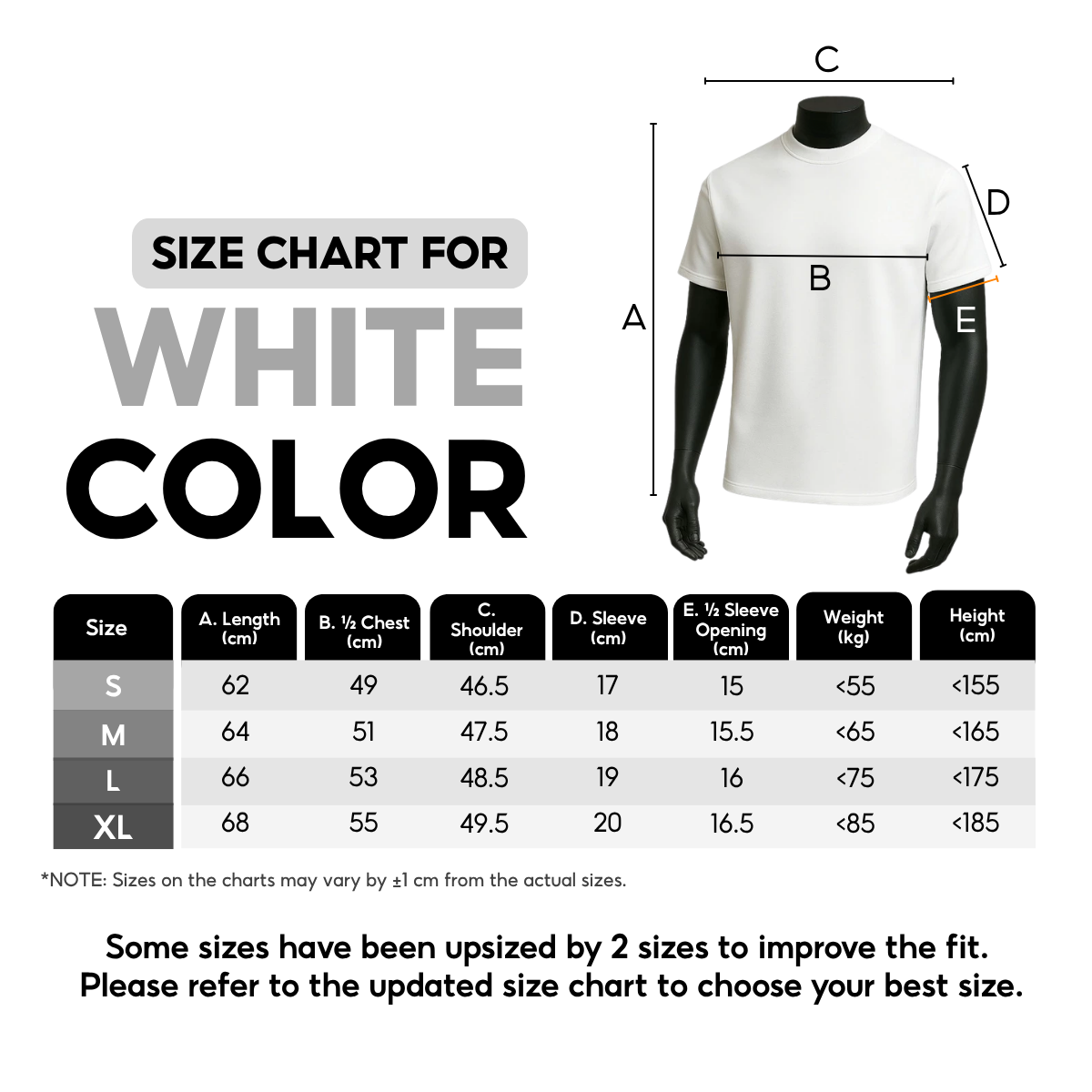 7allen Regular Fit Crew neck T-Shirt Men