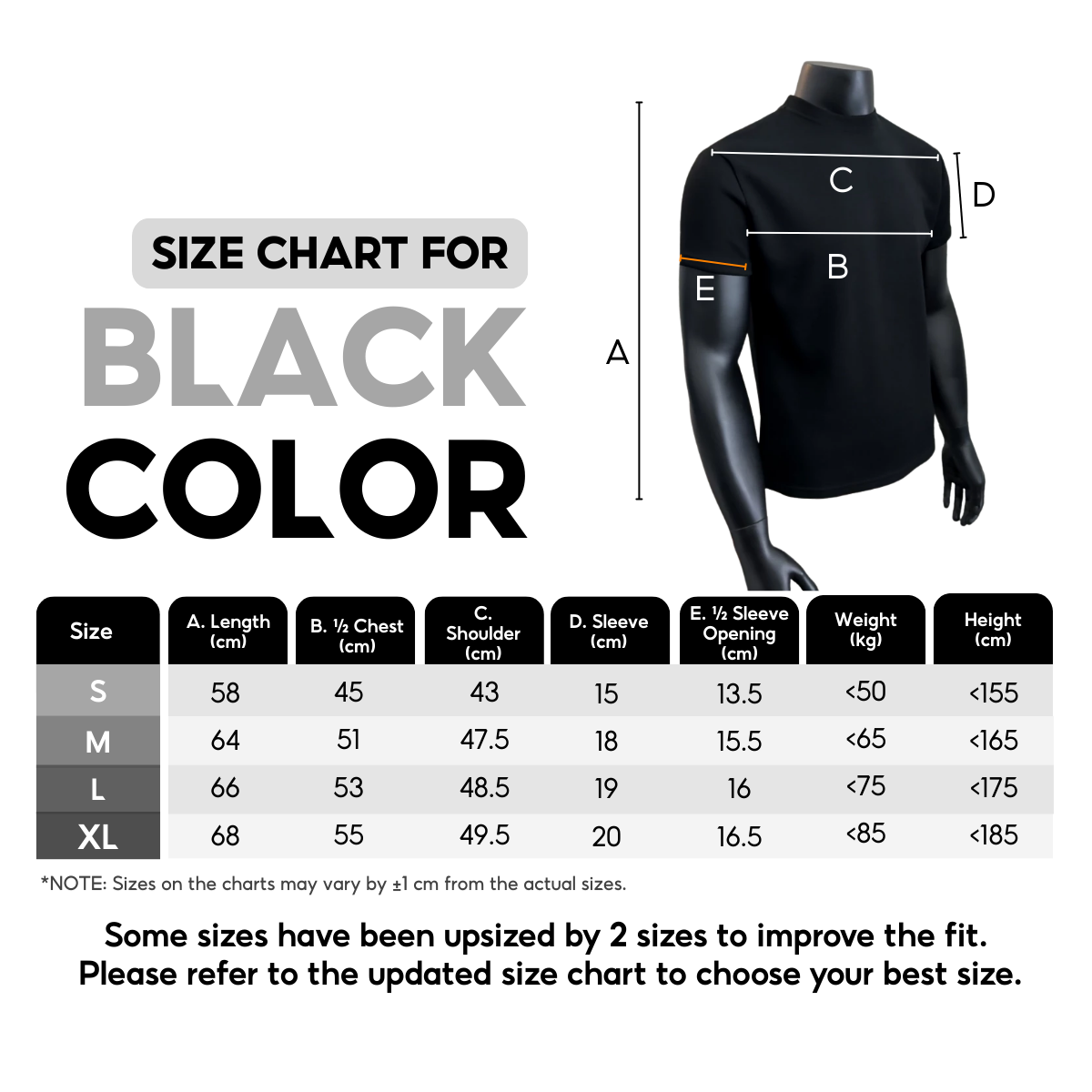 7allen Regular Fit Crew neck T-Shirt Men